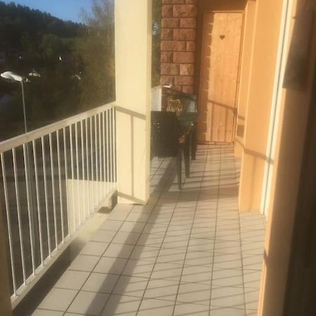 Bel Appartement Avec Balcon Saint-Die-des-Vosges Eksteriør billede