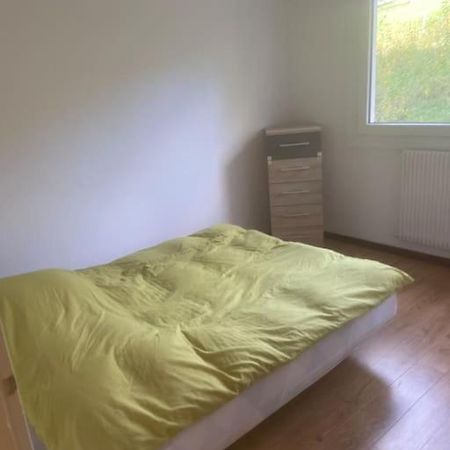 Bel Appartement Avec Balcon Saint-Die-des-Vosges Eksteriør billede