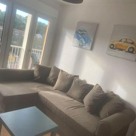 Bel Appartement Avec Balcon Saint-Die-des-Vosges Eksteriør billede