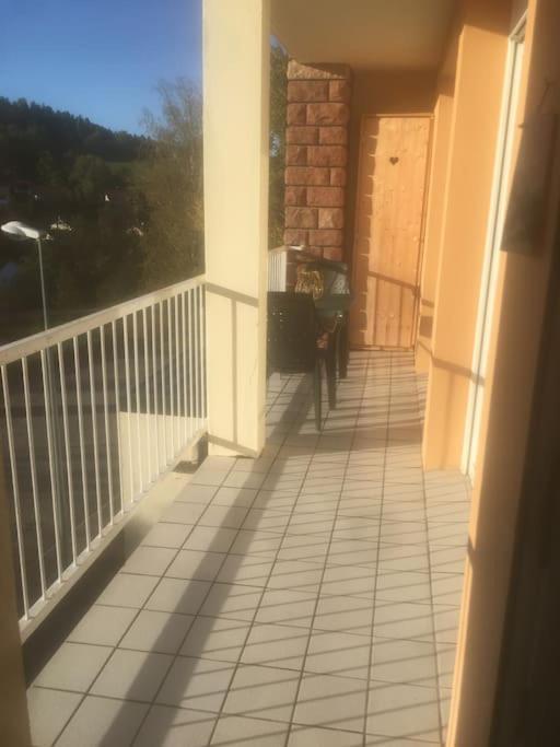 Bel Appartement Avec Balcon Saint-Die-des-Vosges Eksteriør billede