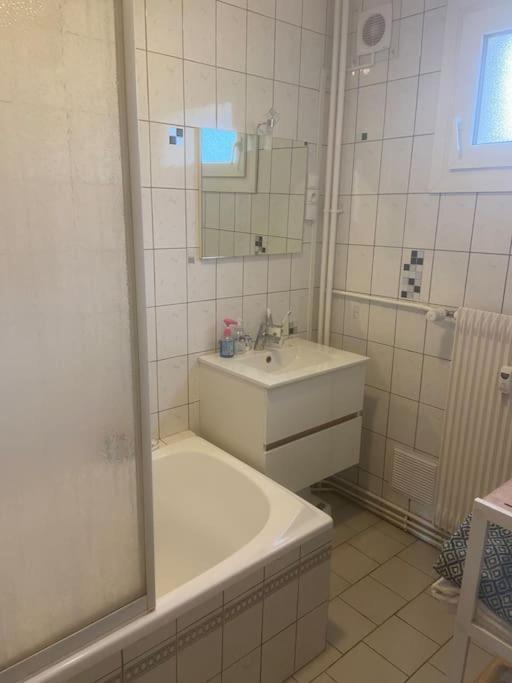 Bel Appartement Avec Balcon Saint-Die-des-Vosges Eksteriør billede