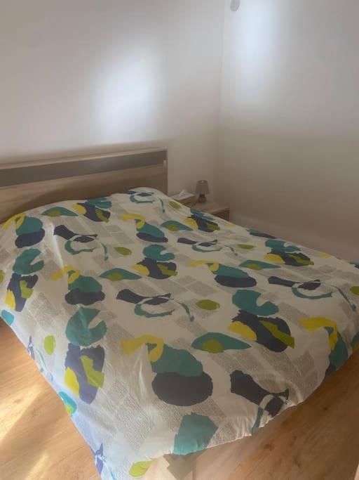 Bel Appartement Avec Balcon Saint-Die-des-Vosges Eksteriør billede