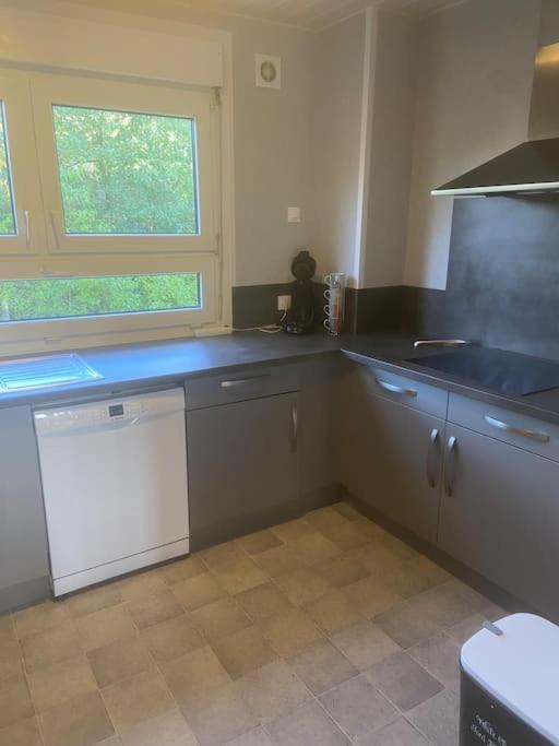 Bel Appartement Avec Balcon Saint-Die-des-Vosges Eksteriør billede