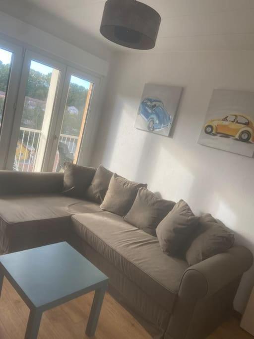 Bel Appartement Avec Balcon Saint-Die-des-Vosges Eksteriør billede